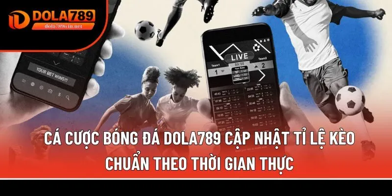 Cá cược bóng đá 1 Cá cược bóng đá Dola789