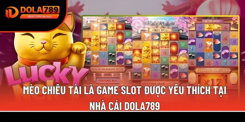 Mèo chiêu tài 1 Mèo chiêu tài