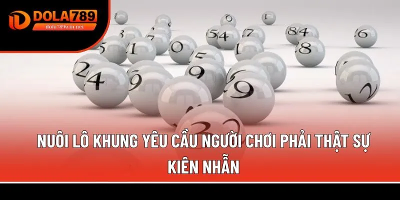 Nuôi lô khung 